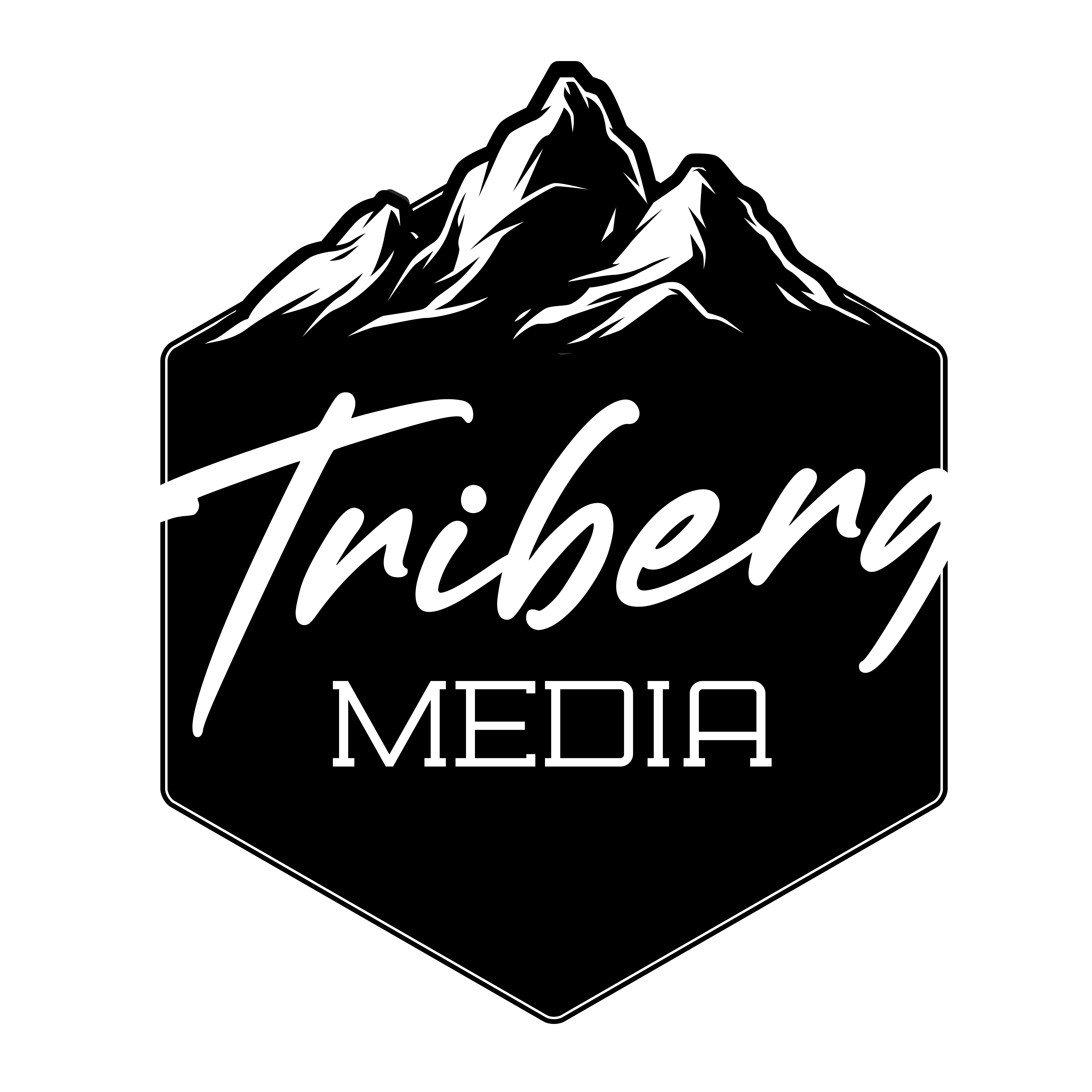 TRIBERG Media Logo